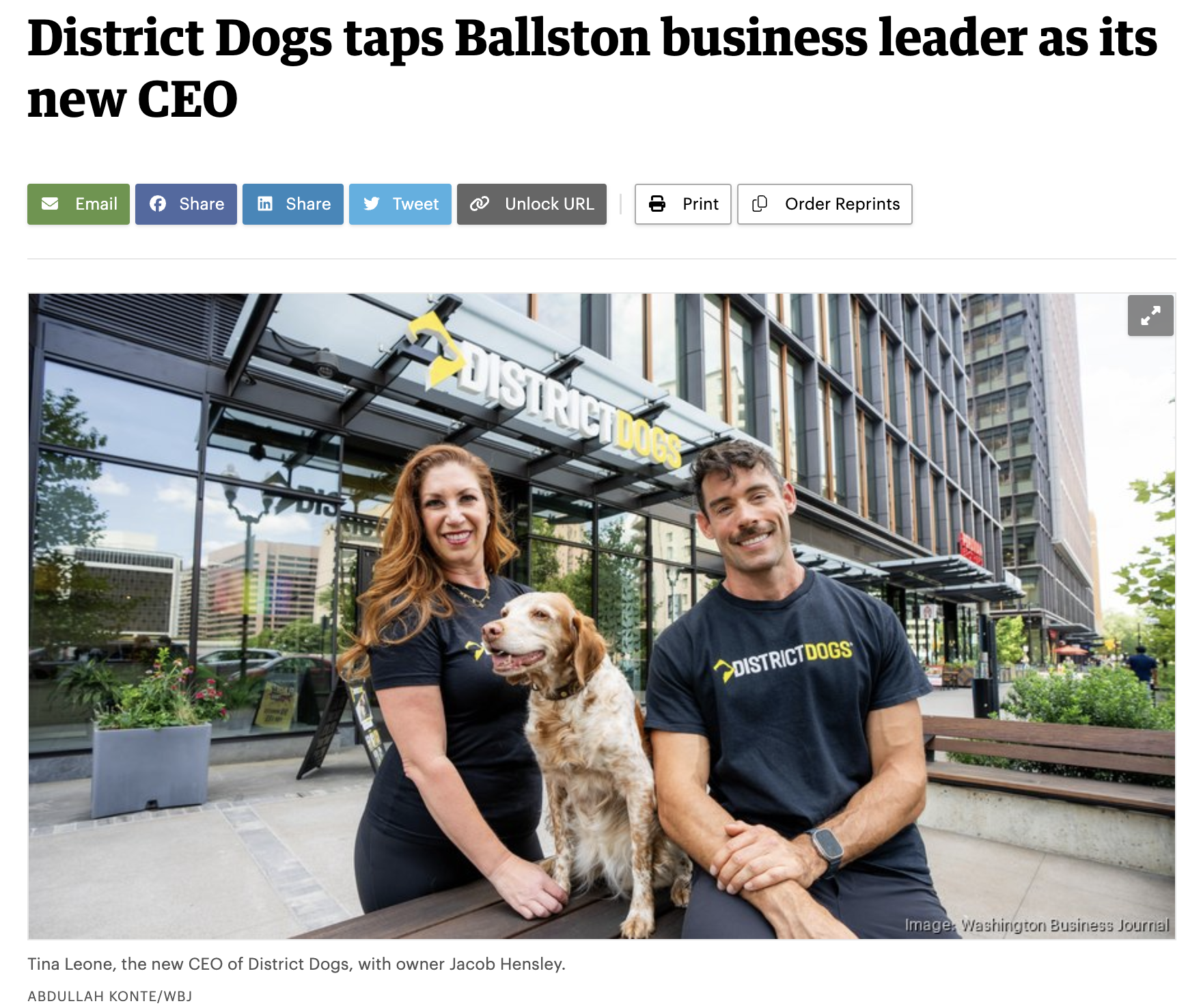 District Dogs CEO